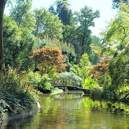 Civenna Cottage Of Bellagio'S Woods المظهر الخارجي الصورة